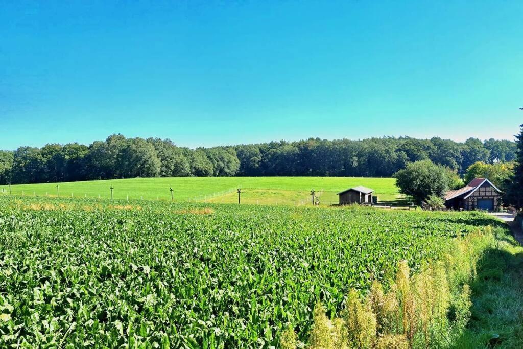 Das Bergherz Ruhe + Natur Pur Reken المظهر الخارجي الصورة